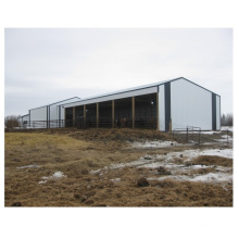 Qingdao Director Prefabricated Low Cost Steel Industrial Shed Designs For Sale
